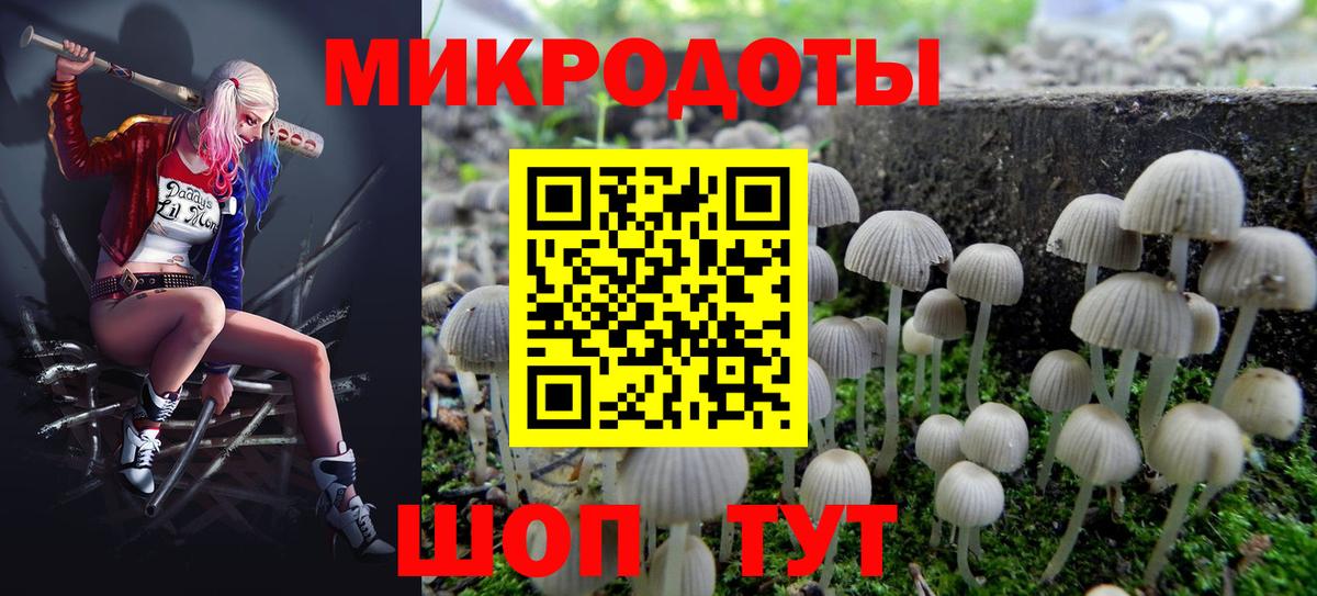 Псилоцибиновые грибы Psilocybe Трёхгорный